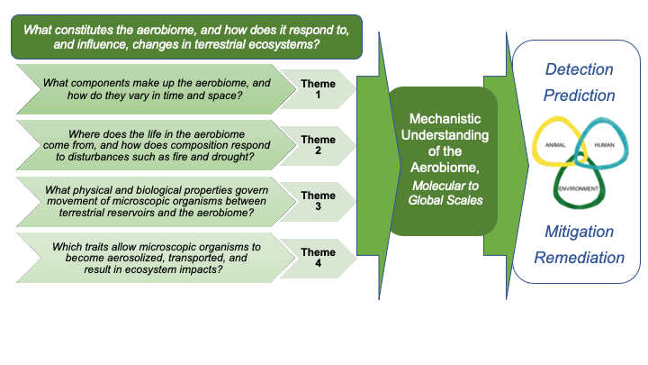 What constitutes the aerobiome